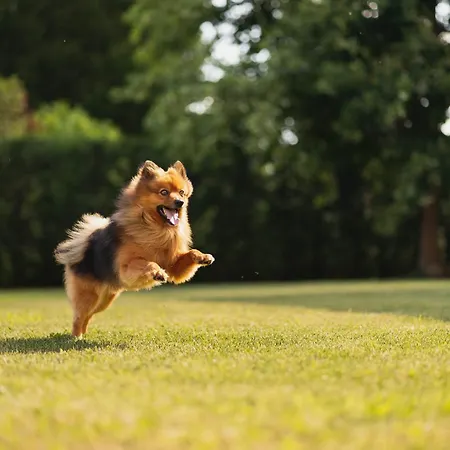 Hotel Al Giardino Treviso