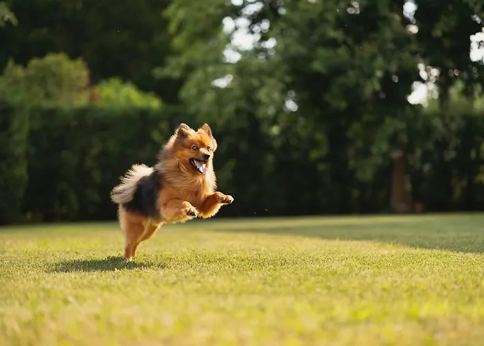 Hotel Al Giardino Trévise